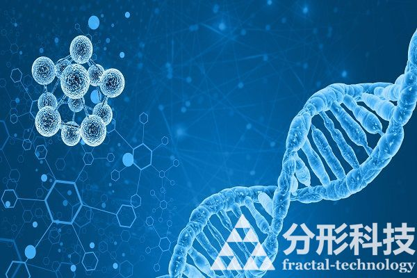 醫院網站建設：創新醫療，便捷就醫